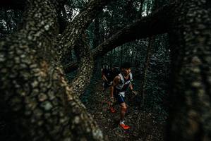 BIB: 
                            <button type="button" onclick="openModal(25689551)" class="btn btn-primary btn-sm float-right btn-popup" data-toggle="modal" data-target=".modal-high-quality">
                        <i class="fas fa-shopping-cart"></i> Add to Cart
                    </button>
                                            <button type="button" onclick="isThisMe(25689551, true)" class="btn btn-success btn-sm float-right btn-popup btn-isme hidden" data-toggle="tooltip" data-placement="bottom" title="นี่คือรูปของคุณใช่ไหม คลิกที่นี่เพื่อเอาเข้าอัลบั้ม">
                        <i class="fas fa-plus"></i> Add to album
                    </button>
                    <button type="button" onclick="isThisMe(25689551, false)" class="btn btn-warning btn-sm float-right btn-popup btn-isnotme hidden">
                        <i class="fas fa-ban"></i> Remove from album
                    </button>